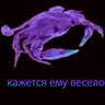 funny krebЪ